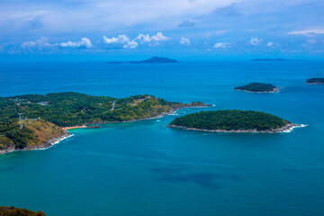 什么是生物的种和界？